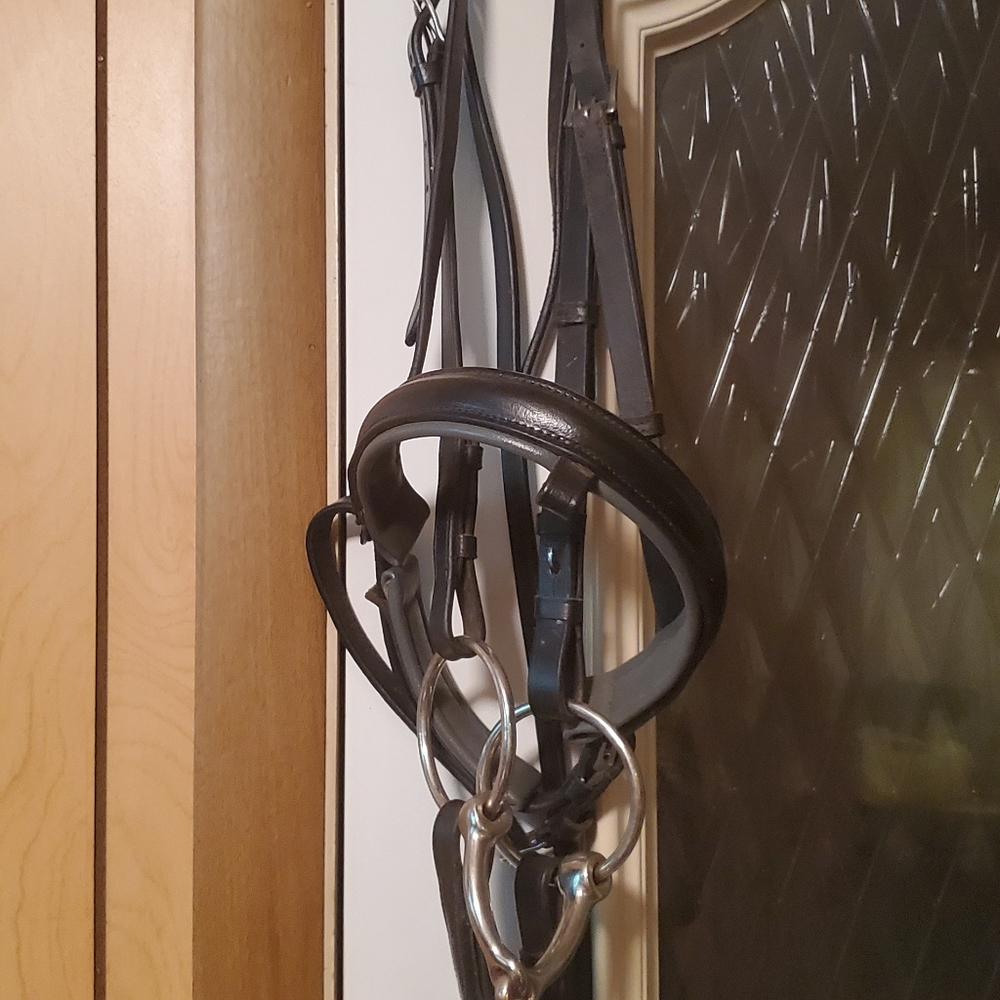 Dressage Bridle horse size